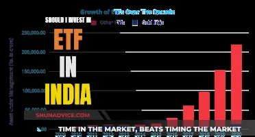 ETFs in India: Worth Investing or Not?