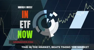 ETFs: Invest Now or Miss Out?