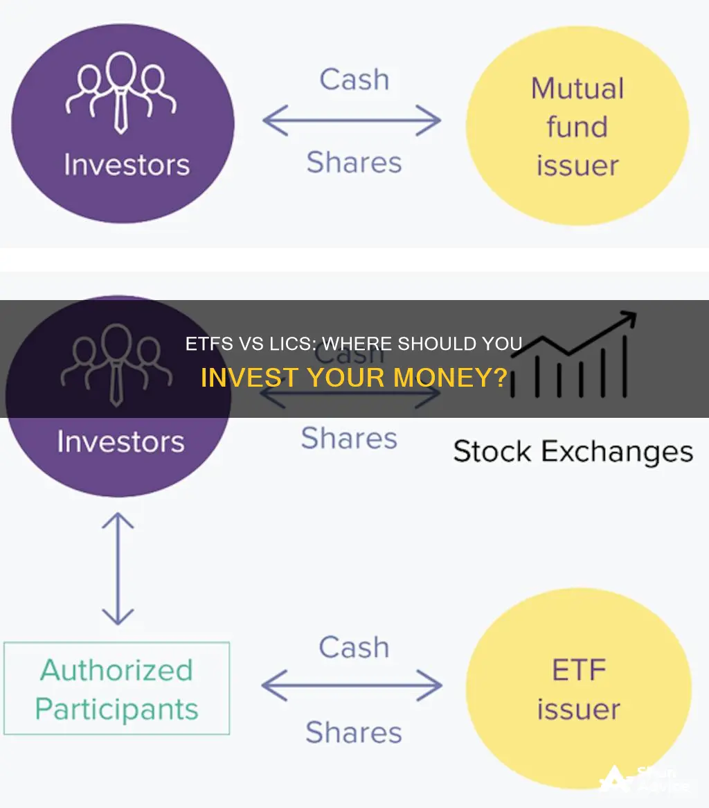 should I invest in etf or lic