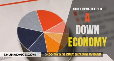 ETFs in a Down Economy: Invest or Avoid?