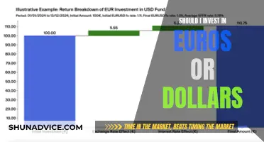 Euros or Dollars? Navigating Currency Investment Decisions