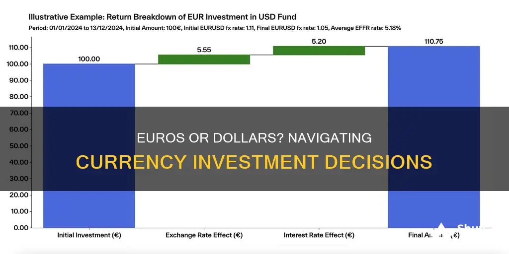 should I invest in euros or dollars