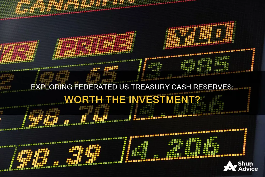 should I invest in federated us treasury cash reserves inst