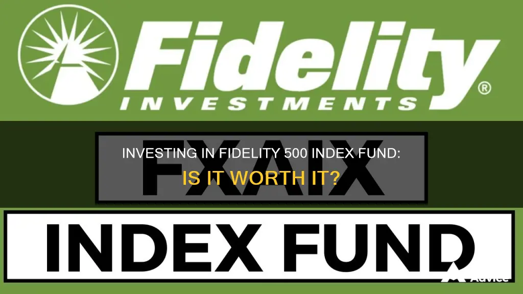 should I invest in fidelity 500 index fund