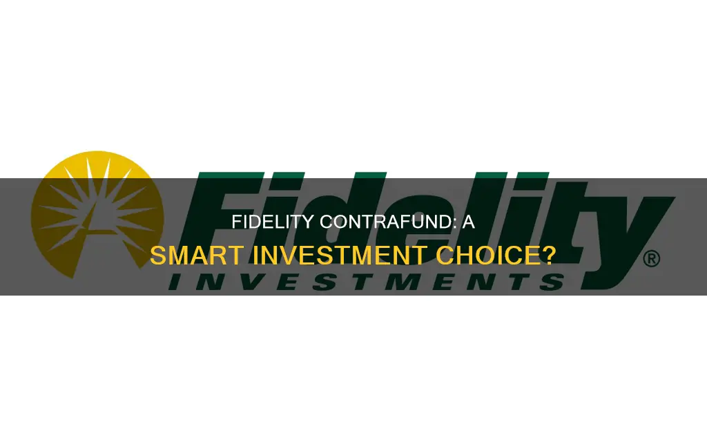 should I invest in fidelity contrafund