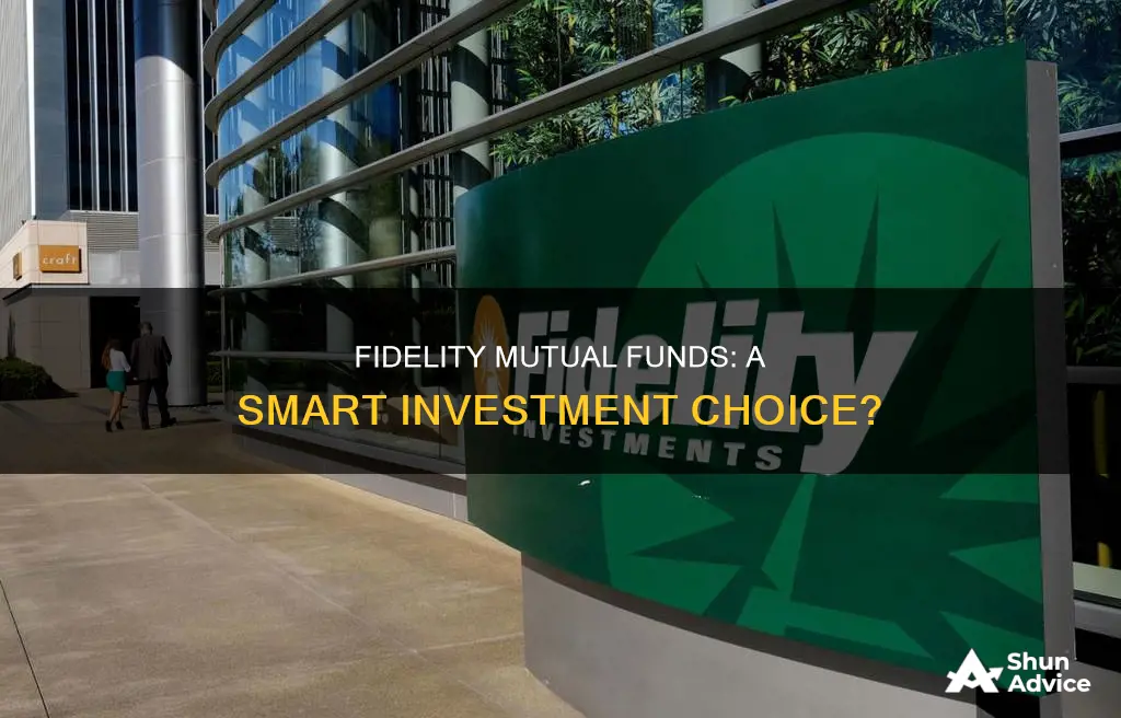 should I invest in fidelity mutual fund