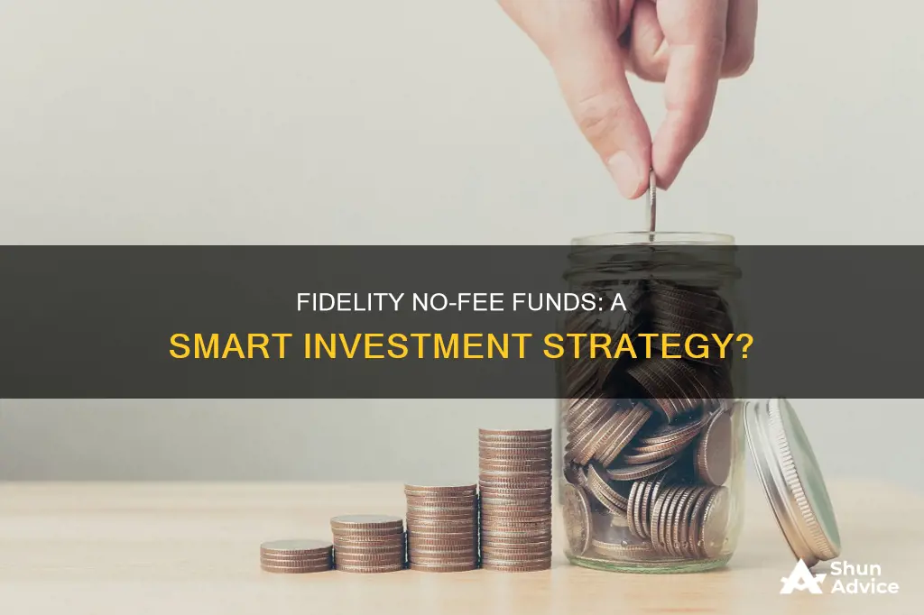 should I invest in fidelity no fee funds