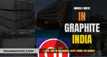 Graphite India: Worthy Investment or Risky Venture?