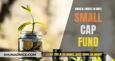 Investing in HDFC Small Cap Fund: Is It Worthwhile?