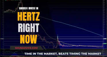 Hertz: Invest Now or Miss Out?