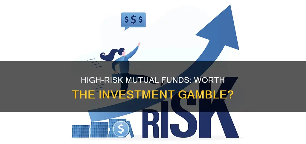 should I invest in high risk mutual funds