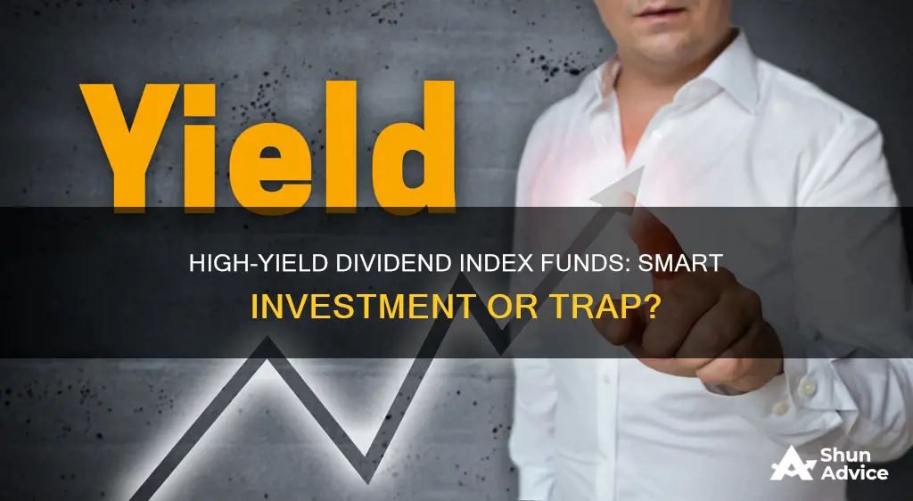 should I invest in high yeld divdend index fund