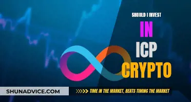 ICP Crypto: Worth Investing or Just Another Risky Bet?