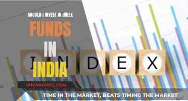 Index Funds in India: Smart Investment or Risky Business?