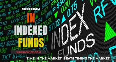 Indexed Funds: Smart Investment or Risky Business?