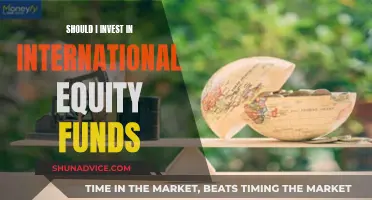 International Equity Funds: Smart Investment or Risky Business?