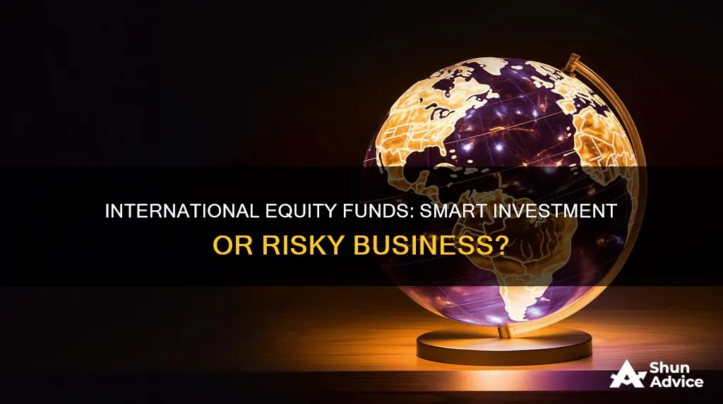 should I invest in international equity funds