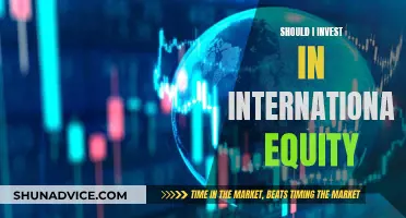 International Equity: Worth the Investment Risk?