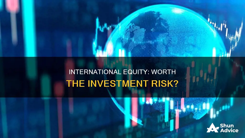 should I invest in international equity