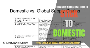 International vs Domestic Funds: Where Should You Invest?