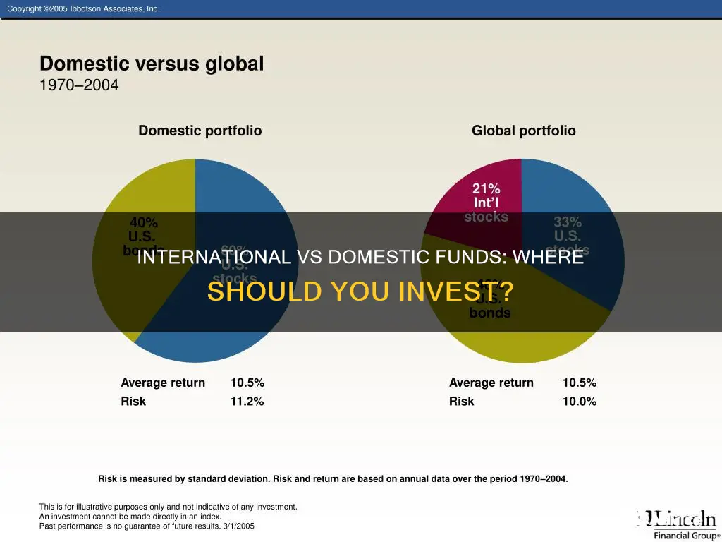 should I invest in international funds or stick to domestic