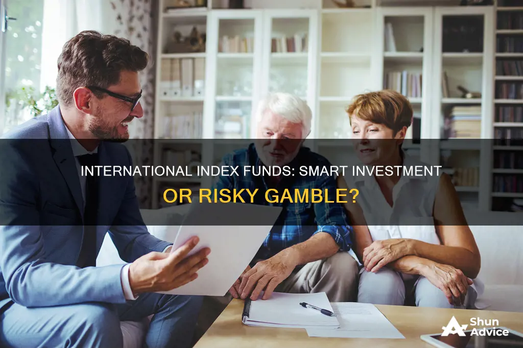 should I invest in international index funds