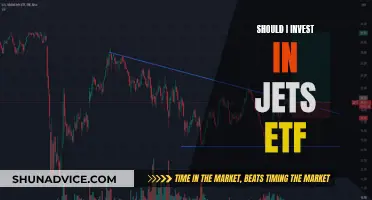 JETS ETF: Worth the Investment Risk?