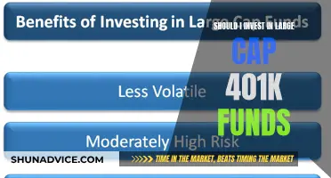 Large Cap 401k Funds: Worth Your Investment?