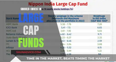 Large-Cap Funds: Are They Worth Your Investment?