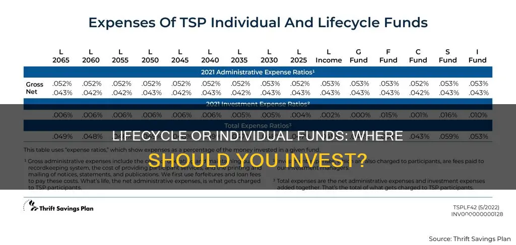 should I invest in lifecycle funds or individual funds