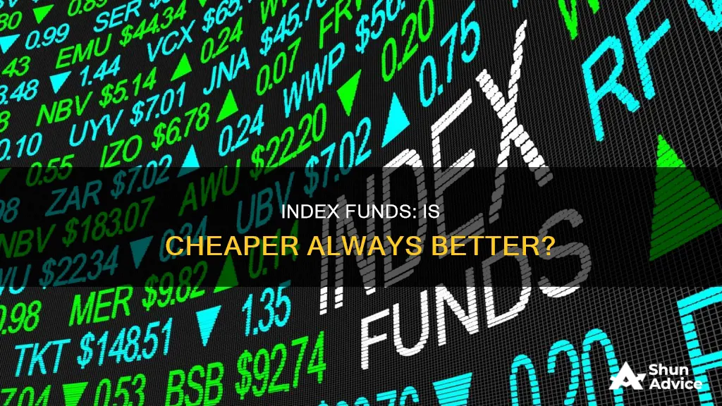 should I invest in low cost index funds or expensiver