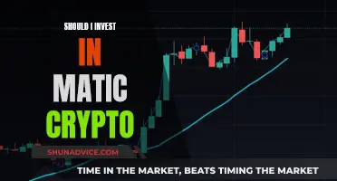 Matic Crypto: Is It Worth Investing Your Money?