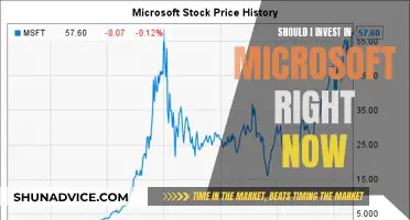 Microsoft: Invest Now or Miss Out?