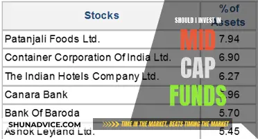 Mid-Cap Funds: Worthy Investment or Risky Business?