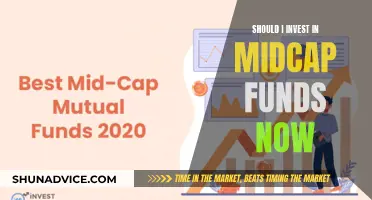 Midcap Funds: Worth Investing in Now?