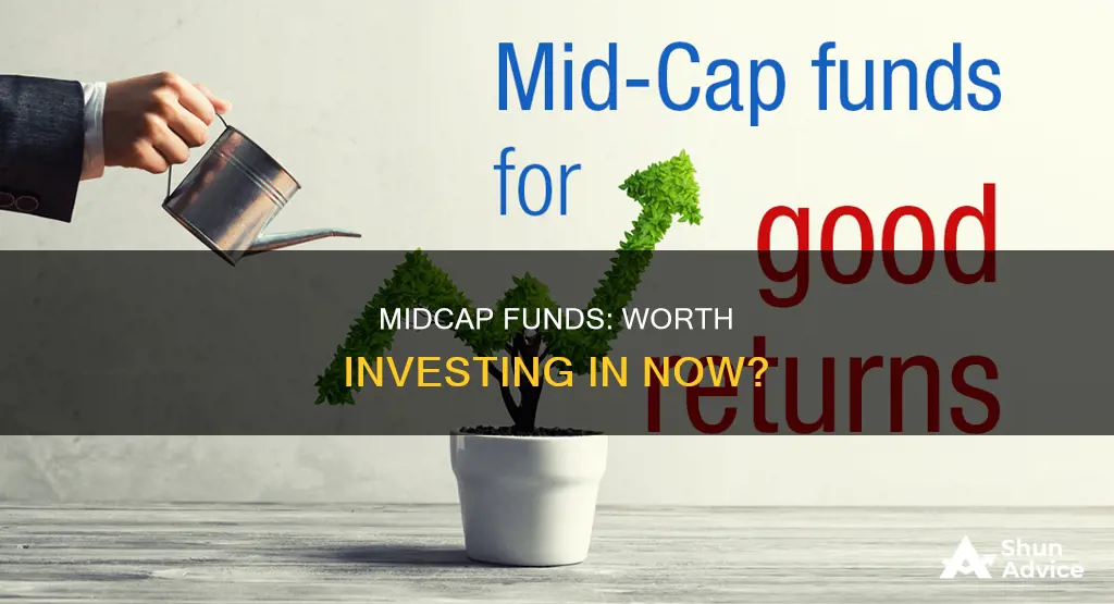 should I invest in midcap funds now