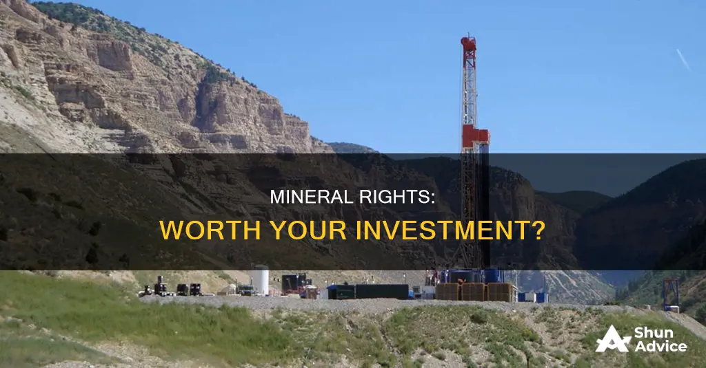 should I invest in mineral rights