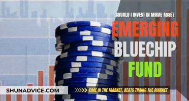 Emerging Bluechip Fund: Is Mirae Asset Worth the Investment?