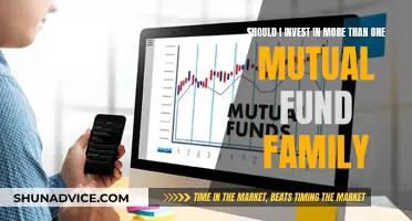 Diversifying Mutual Fund Portfolios: Benefits of Multiple Fund Families