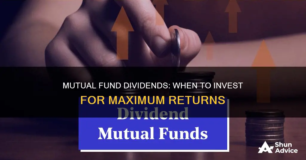 should I invest in mutual fund before or after dividend