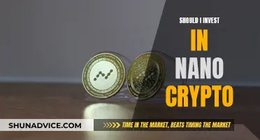 Nano Crypto: Worth Investing or Just Another Bubble?