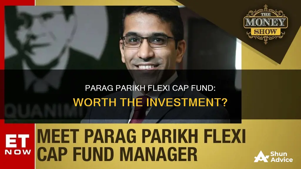 should I invest in parag parikh flexi cap fund