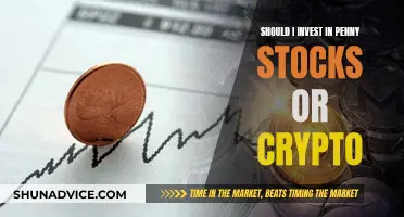 Penny Stocks vs Crypto: Where Should You Invest?