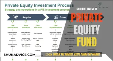 Private Equity Fund Investment: Is It Worth the Risk?