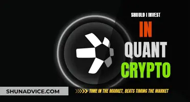 Quant Crypto: Worth the Investment Risk?