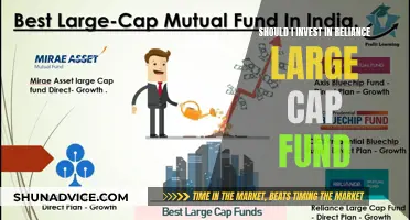 Reliance Large Cap Fund: Worth the Investment?