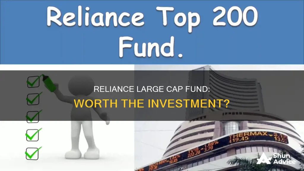 should I invest in reliance large cap fund