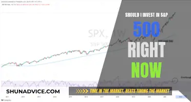 S&P 500: Invest Now or Wait?