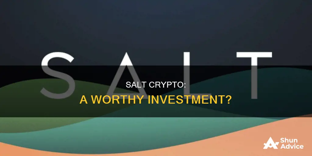 should I invest in salt crypto