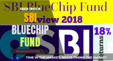 SBI Bluechip Fund: Is It Worth Investing?